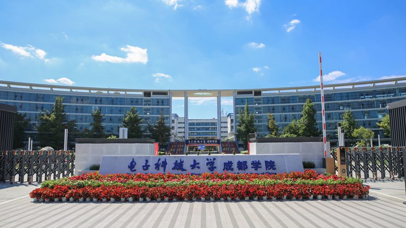 揭秘深圳电子科技公司排行榜：实力与趋势并存