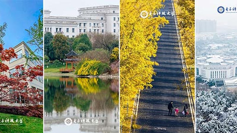 仿真软件的性能直接影响到仿真速度和准确性。在性能指标方面，需要关注以下参数：