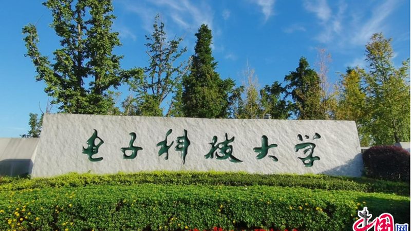 电子配件代理加盟正规公司
